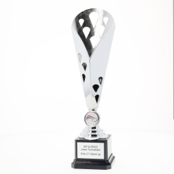 Zephyr Cup Silver 300mm 