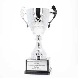 Eternal Cup Silver 235mm