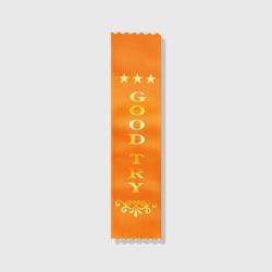 Good Try Ribbon (25 Pack)