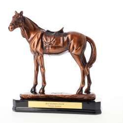 Swatkins Track Champion Horse 270mm