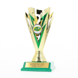 Star Flash Cup Gold/Green 180mm