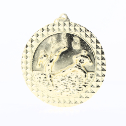 Martial Arts Facet Medal Gold 70mm