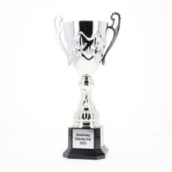 Crown Cup Silver 304mm