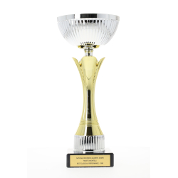Equity Cup Gold/Silver 235mm