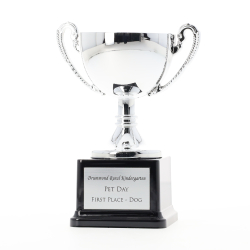 Classic Silver Plastic Cup 125mm