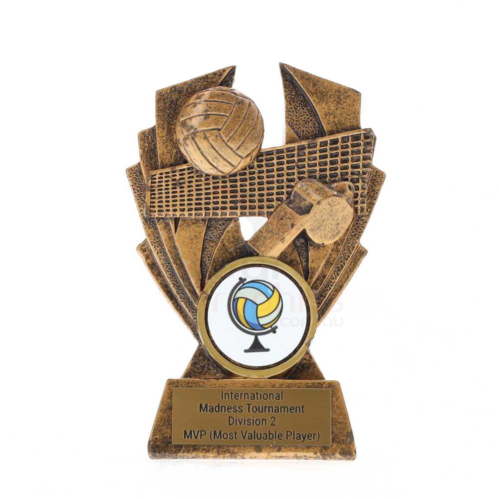 Hawk Series Volleyball 100mm
