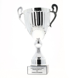Endeavour Cup Silver 270mm