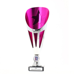 Dianna Cup Silver/Pink 290mm