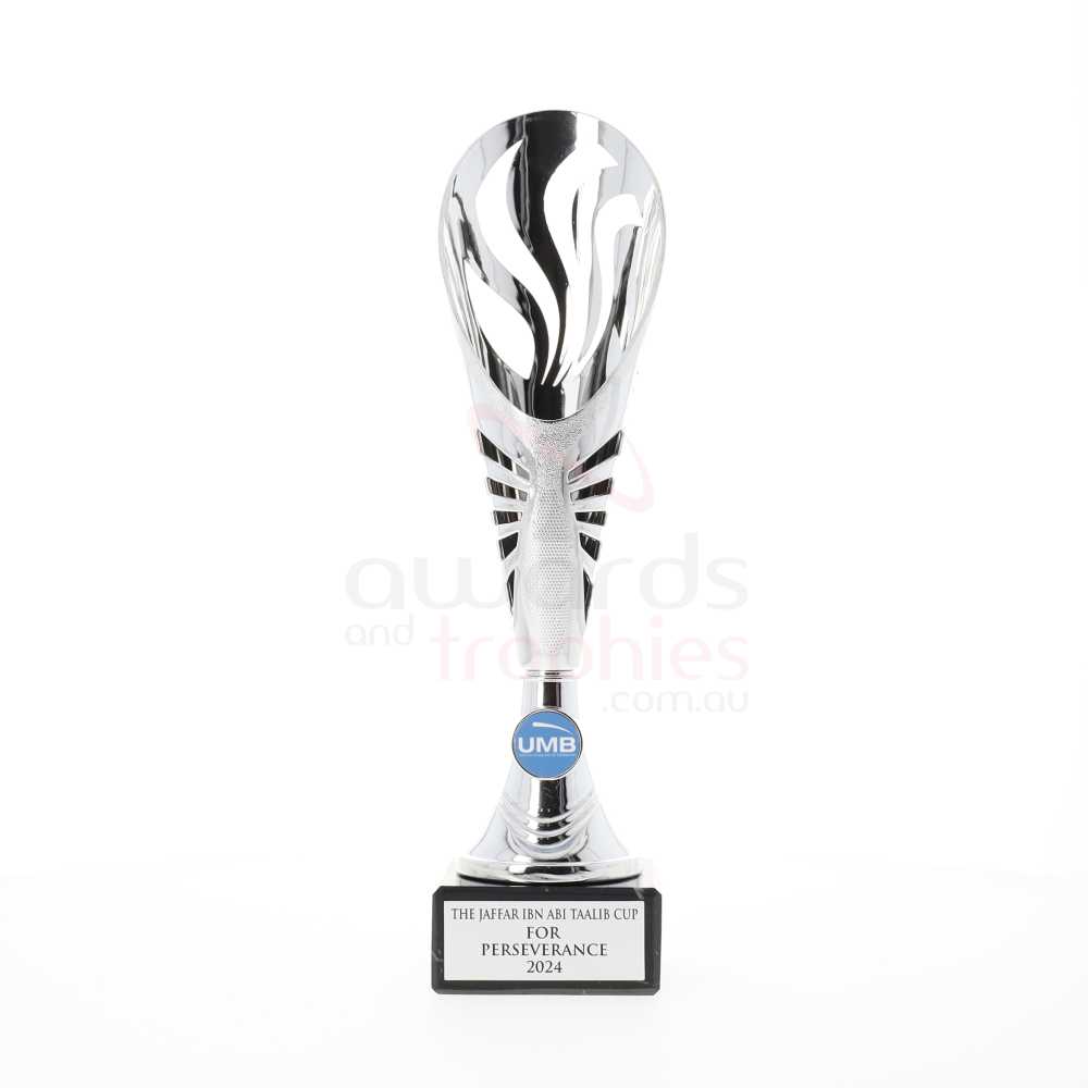 Equinox Cup Silver 300mm