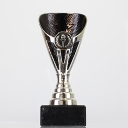 Arianna Cup Silver/Black 170mm