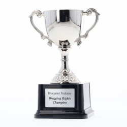 Canterbury Series Cup - 205mm