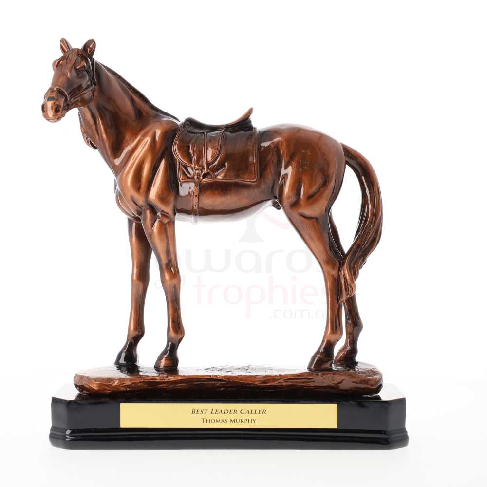 Swatkins Track Champion Horse 270mm