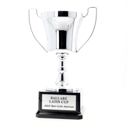 Italian Made Elite Ace Cup 295mm