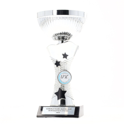 Wayfinder Silver Cup 175mm