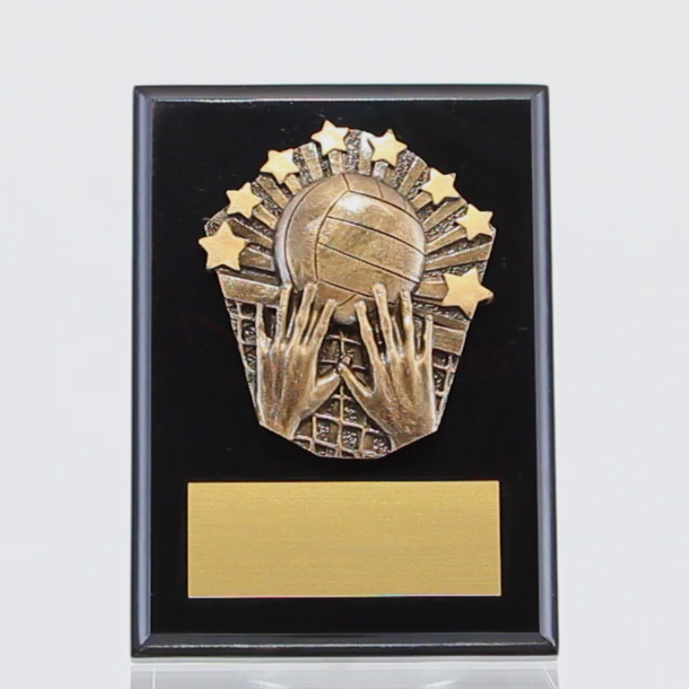 Cosmos Volleyball Black Plaque 150mm