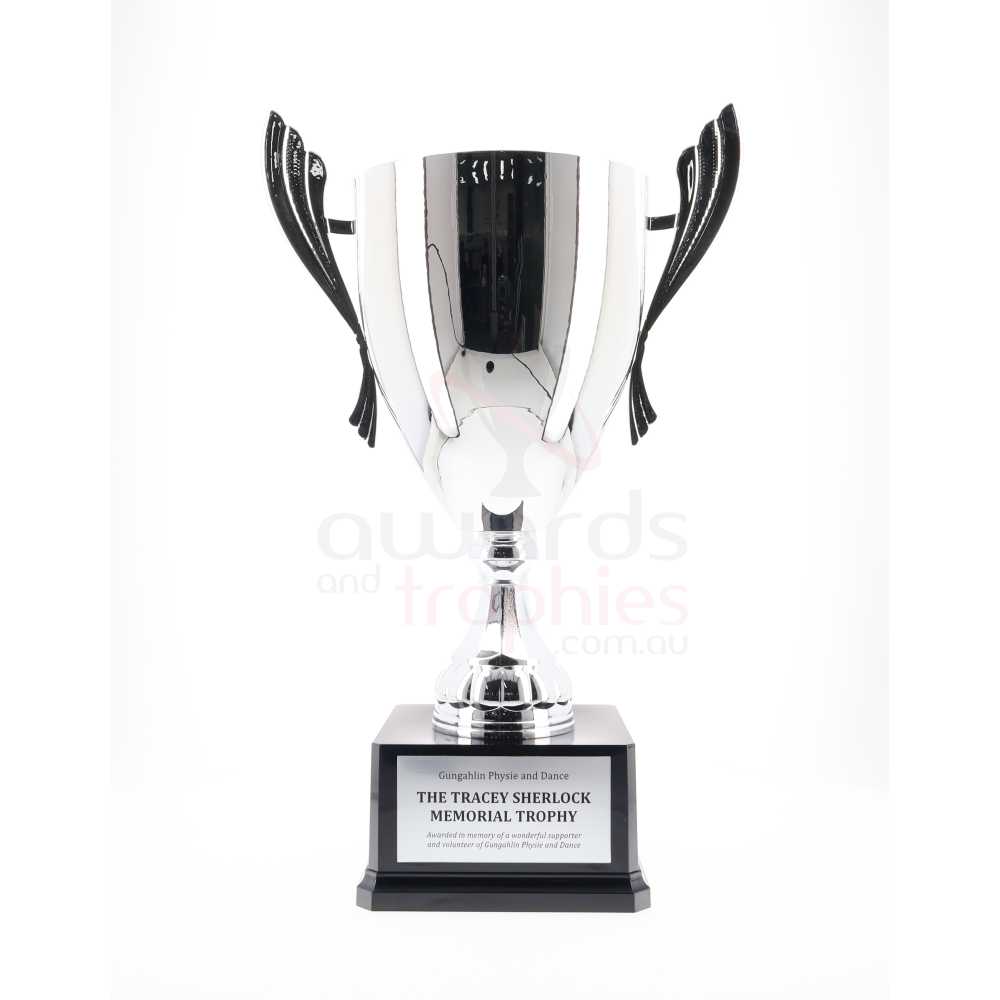Ironside Cup Silver 290mm