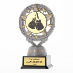 Boxing Silver Torch 150mm
