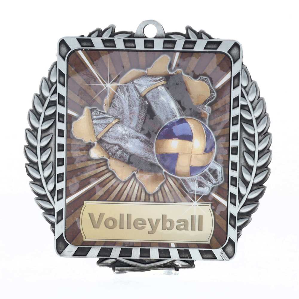 Lynx Wreath Volleyball Medal Silver