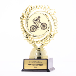 Mountain Bike Gold Cosmic 150mm