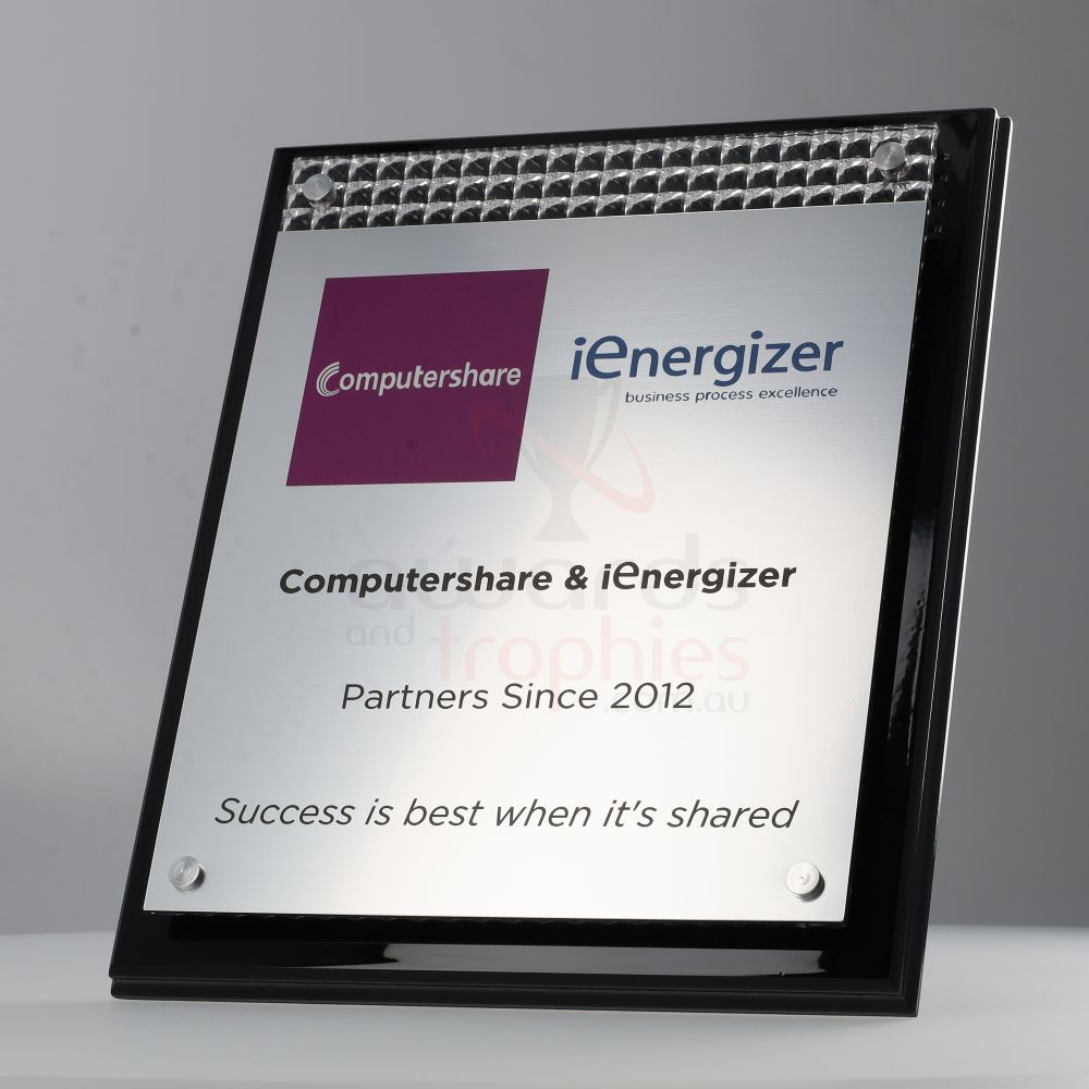Diffuser Plaque Small 225mm