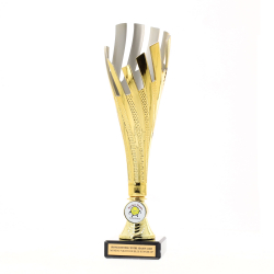 Tenerife Cup Gold/Silver 295mm