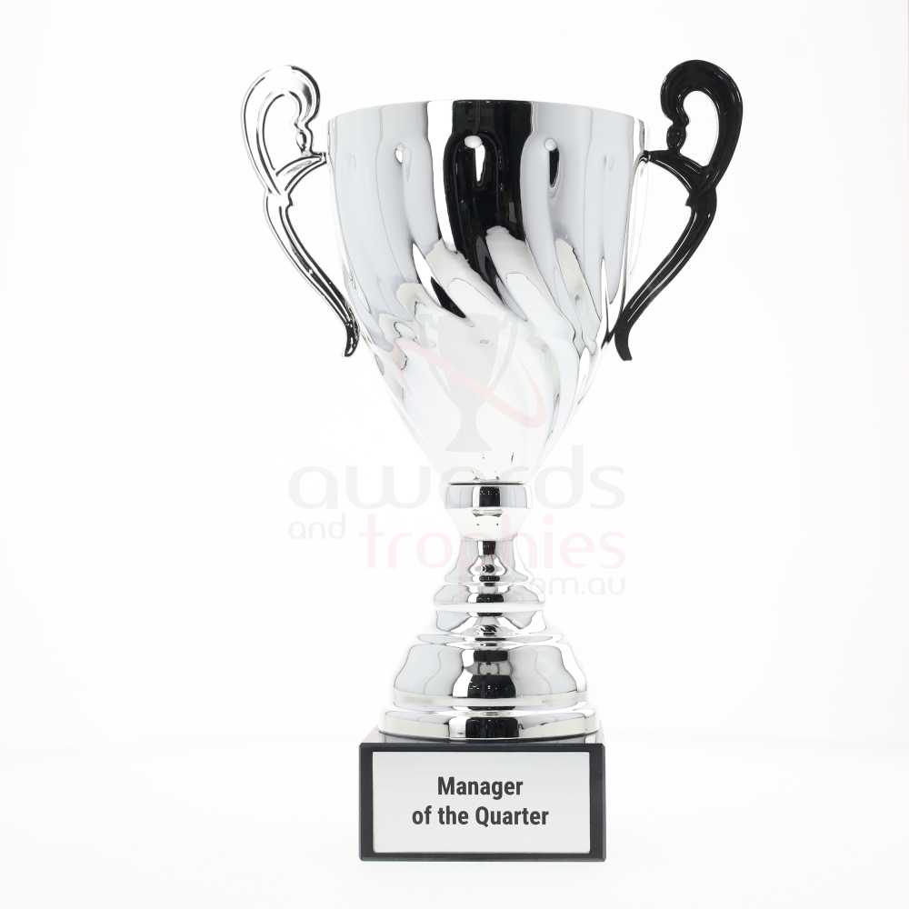 Fidelity Cup Silver 285mm
