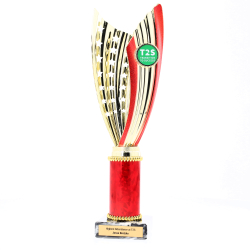 Zanzi Cup Gold/Red 290mm