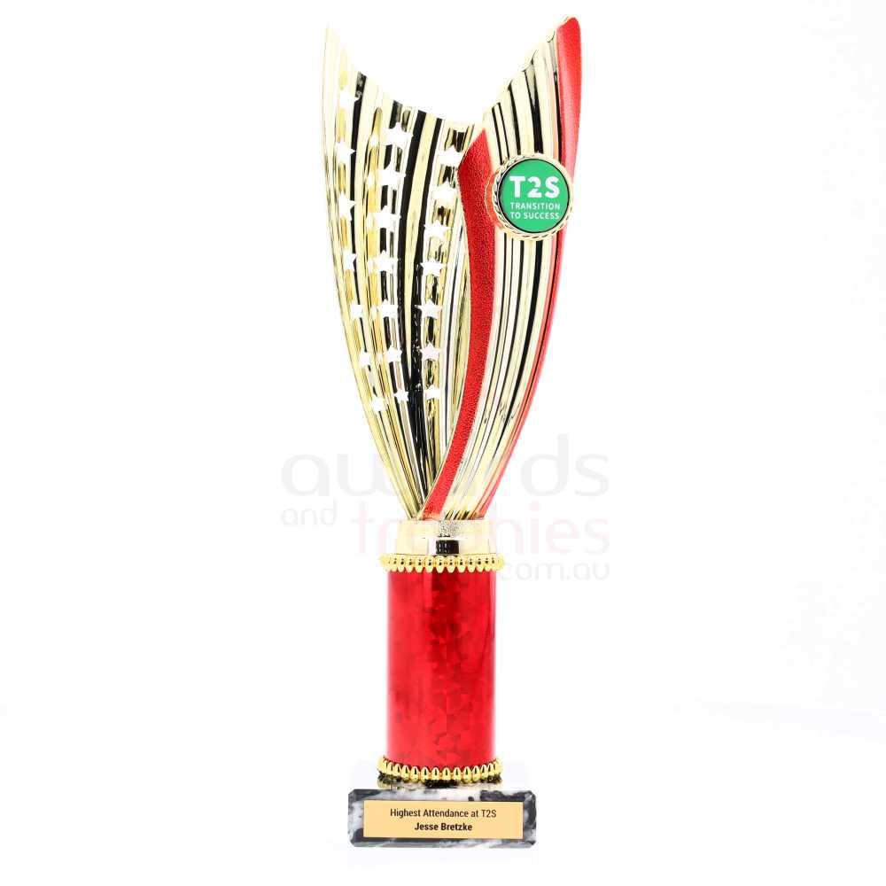 Zanzi Cup Gold/Red 290mm