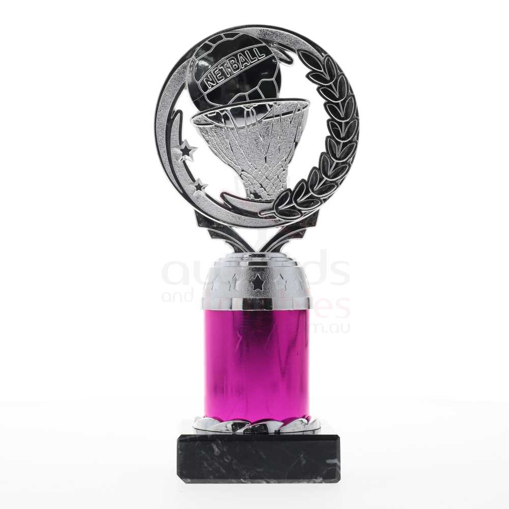 Netball Torch Silver/Pink 185mm