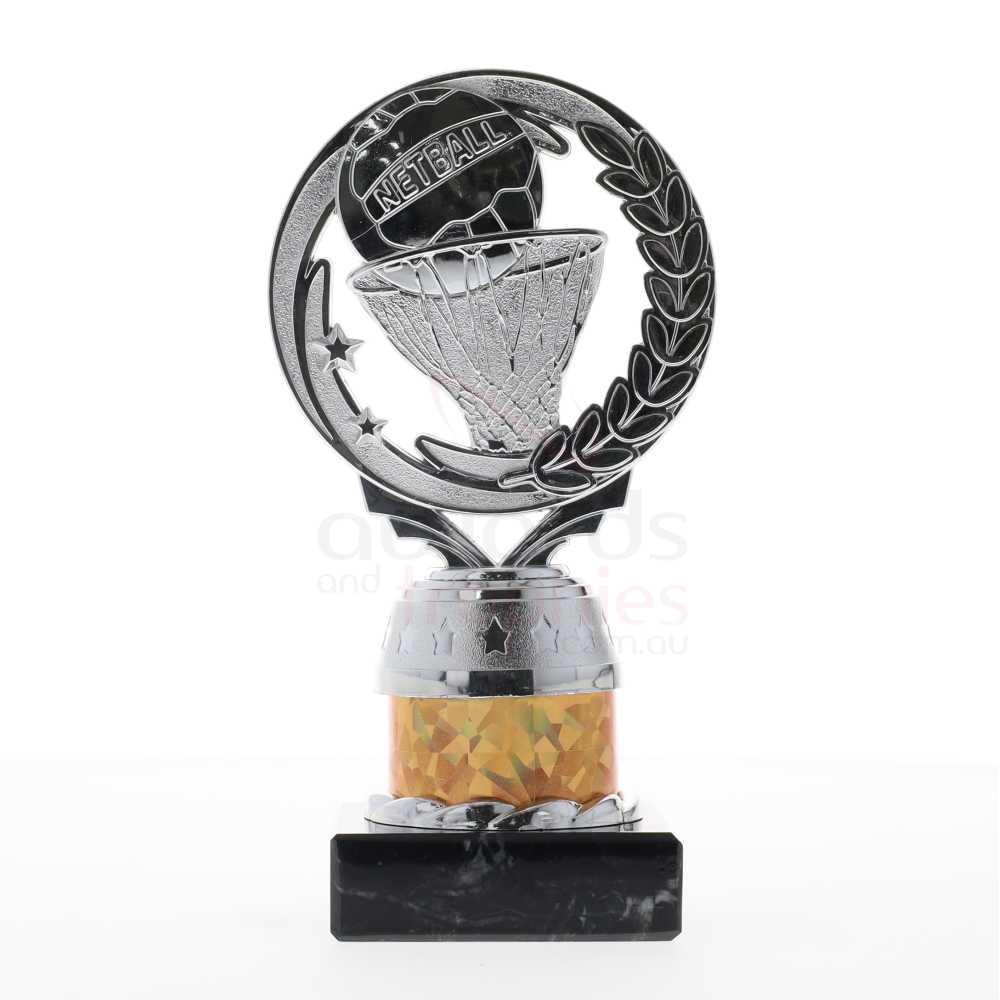Netball Torch Silver/Gold 165mm