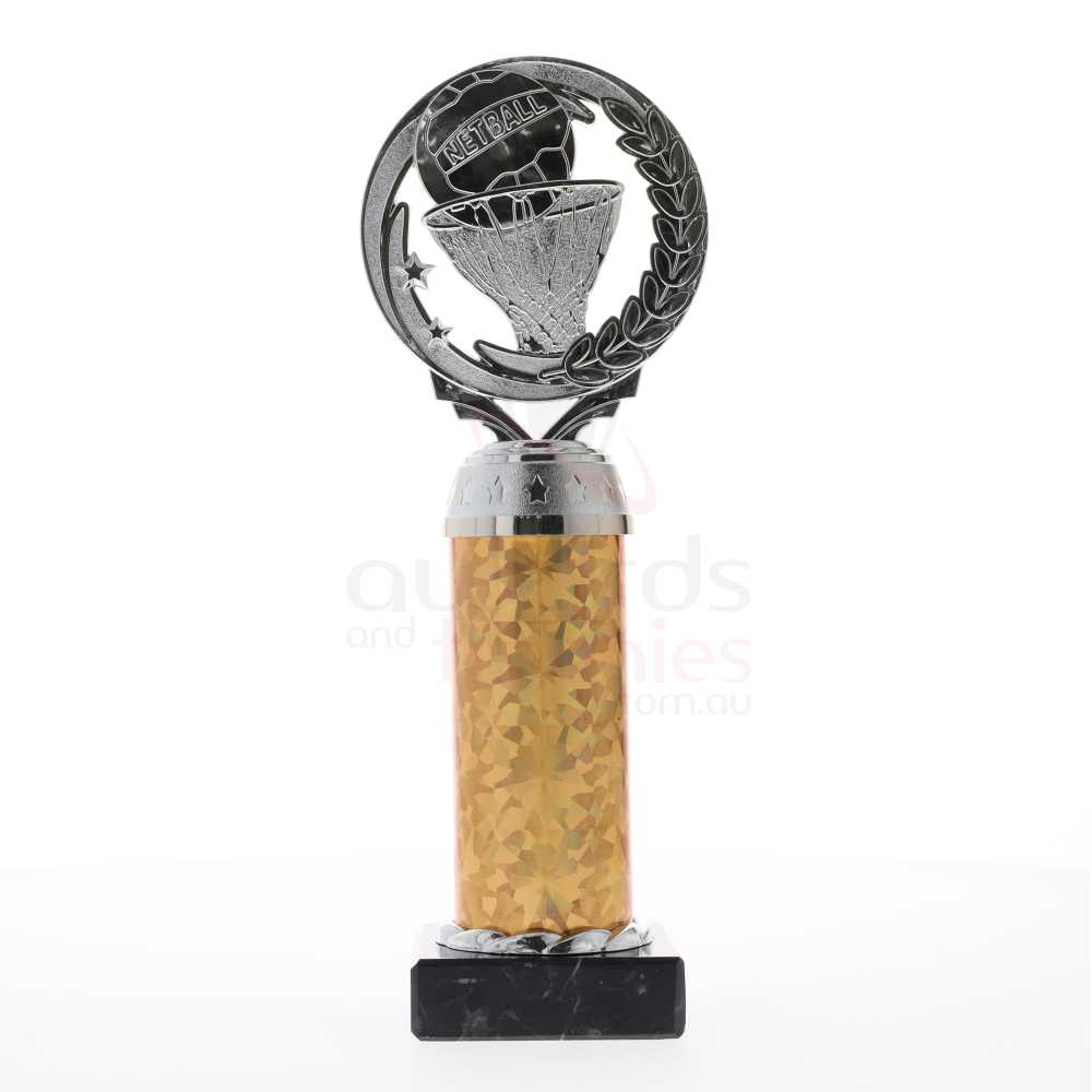 Netball Torch Silver/Gold 235mm
