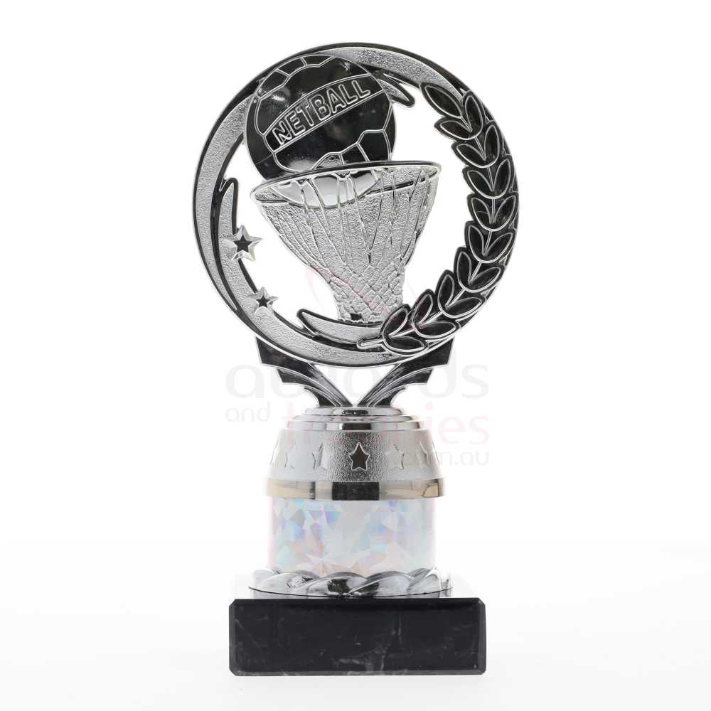 Netball Torch Silver 165mm