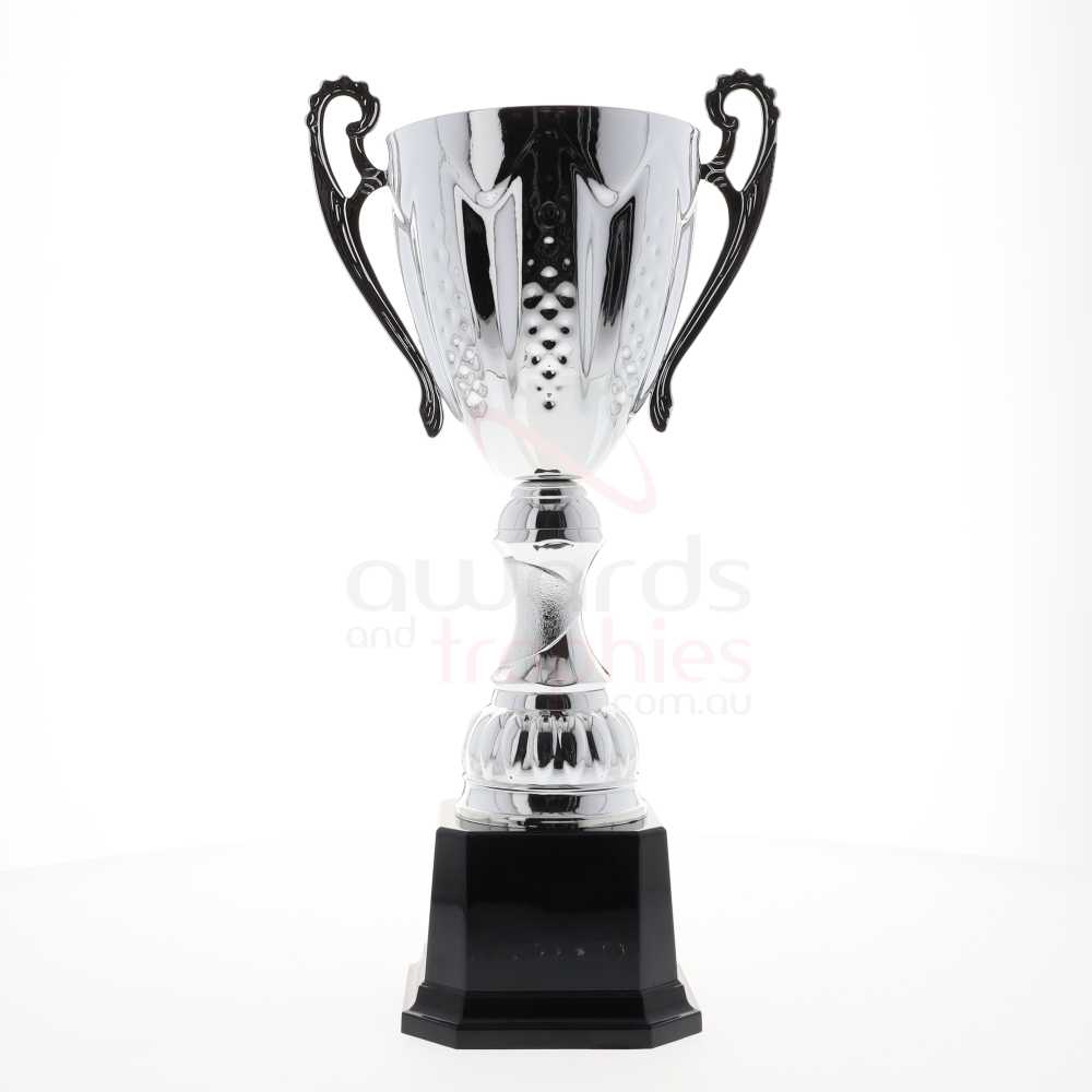 Bordeaux Cup Silver 304mm