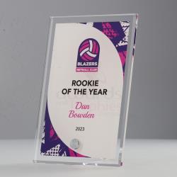 Netball Team Colours Plaque V2 150mm