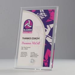 Netball Team Colours Plaque V6 150mm