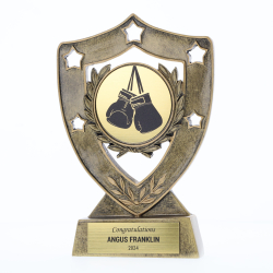 Shield 155mm - Boxing