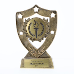Shield 155mm - Victory Torch