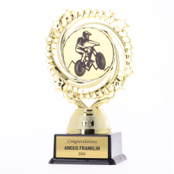 Gold Cosmic 150mm - Downhill Biking