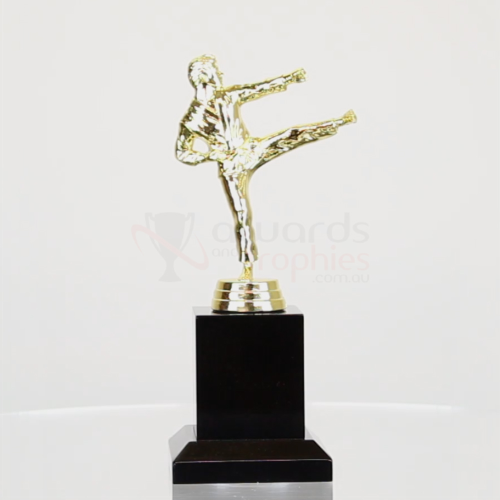 Karate Action Fig Male 200mm