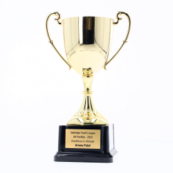 Nickel Plated Cup 150mm - Gold