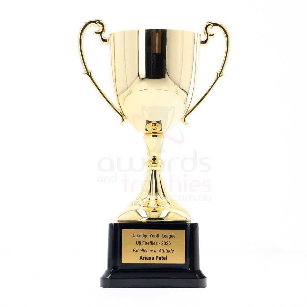 Nickel Plated Cup 150mm - Gold
