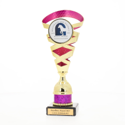 Vail Cup 235mm - Gold/Purple