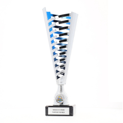 Citadel Cup 320mm - Silver/Blue