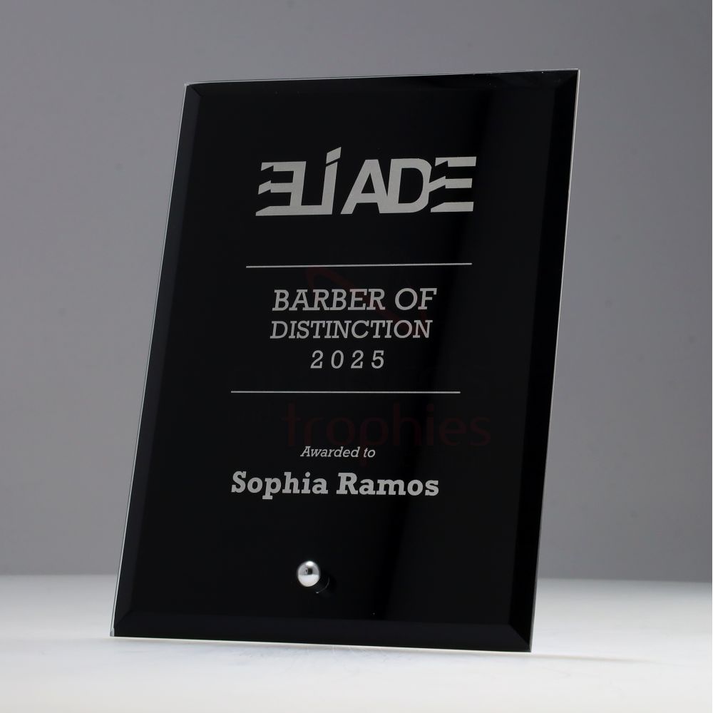 Glass Radiant Plaque 150mm - Black