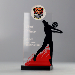 Silhouette Series 150mm - Volleyball Female