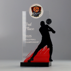 Silhouette Series 150mm - Volleyball Male