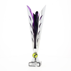 Silhouette Cup Purple/Silver 300mm