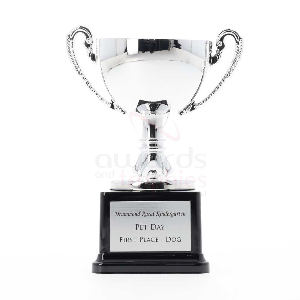 Classic Silver Plastic Cup 125mm