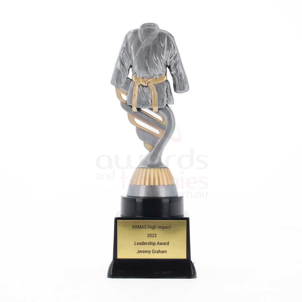 Silver Martial Arts Theme on Black Base 195mm